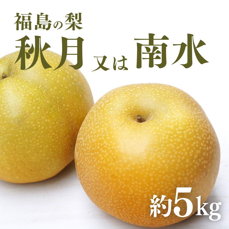 【ふるさと納税】No.2186福島の梨　秋月または南水　約5kg【2025年発送分】