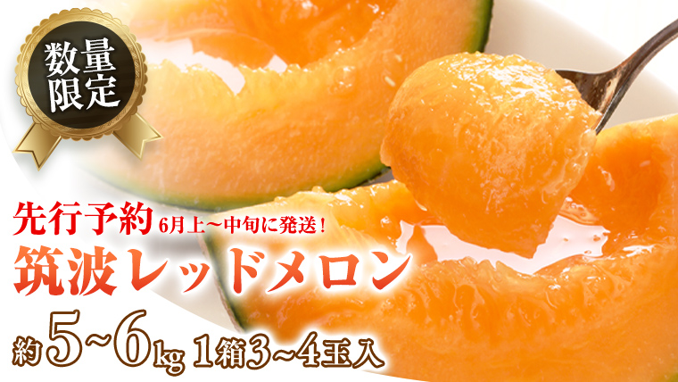 筑波レッドメロン 1箱 3玉 ～ 4玉 入り（ 約 5kg ～ 6kg ）【2025年6月上旬以降発送】 赤肉　数量限定 メロン レッド  赤肉 甘い 期間限定 産地直送 果物 フルーツ [BU002ya]