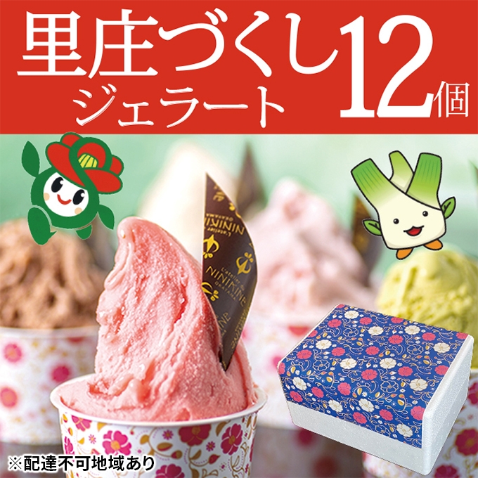 
ジェラート 詰め合わせ 里庄づくし 2種類12個入り (まこもだけ 6個/ 椿 と あまおう 苺 6個）
