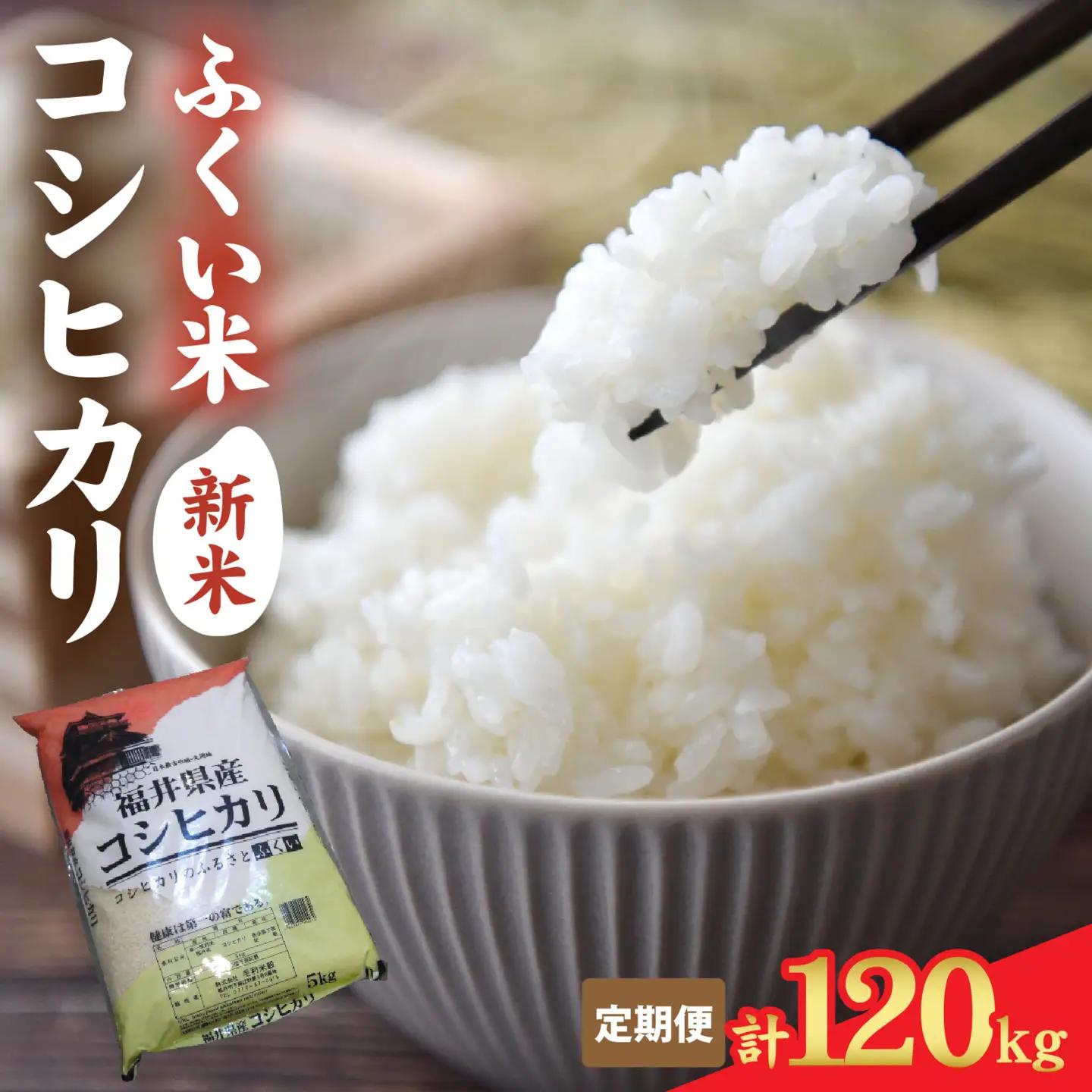 【先行予約】《定期便12ヶ月連続お届け》【ふくい米】令和8年産  福井市産コシヒカリ10kg「2026年10月上旬より順次発送」 [O-168018] | こしひかり