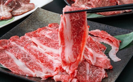 【定期便・全３回連続】お肉の宮城県堪能セットの定期便 毎月800g／計2.4kg　【04203-0622】