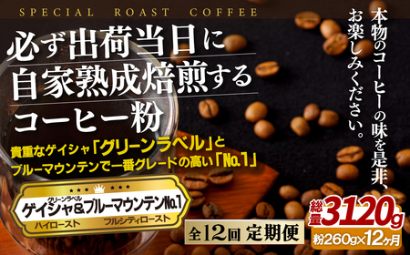 必ず出荷日に自家熟成焙煎ゲイシャ粉(160g)･ブルーマウンテン№.1粉(100g)【12回定期便】