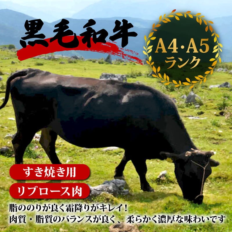【定期便6回】土佐 黒毛 和牛 すき焼き用 計3.6kg（600g×6ヶ月連続お届け)4Gコース | 特撰 リブロース肉 最上位等級 A4 A5 最高ランク 贅沢 すきやき スキヤキ用 鍋 焼肉用 小