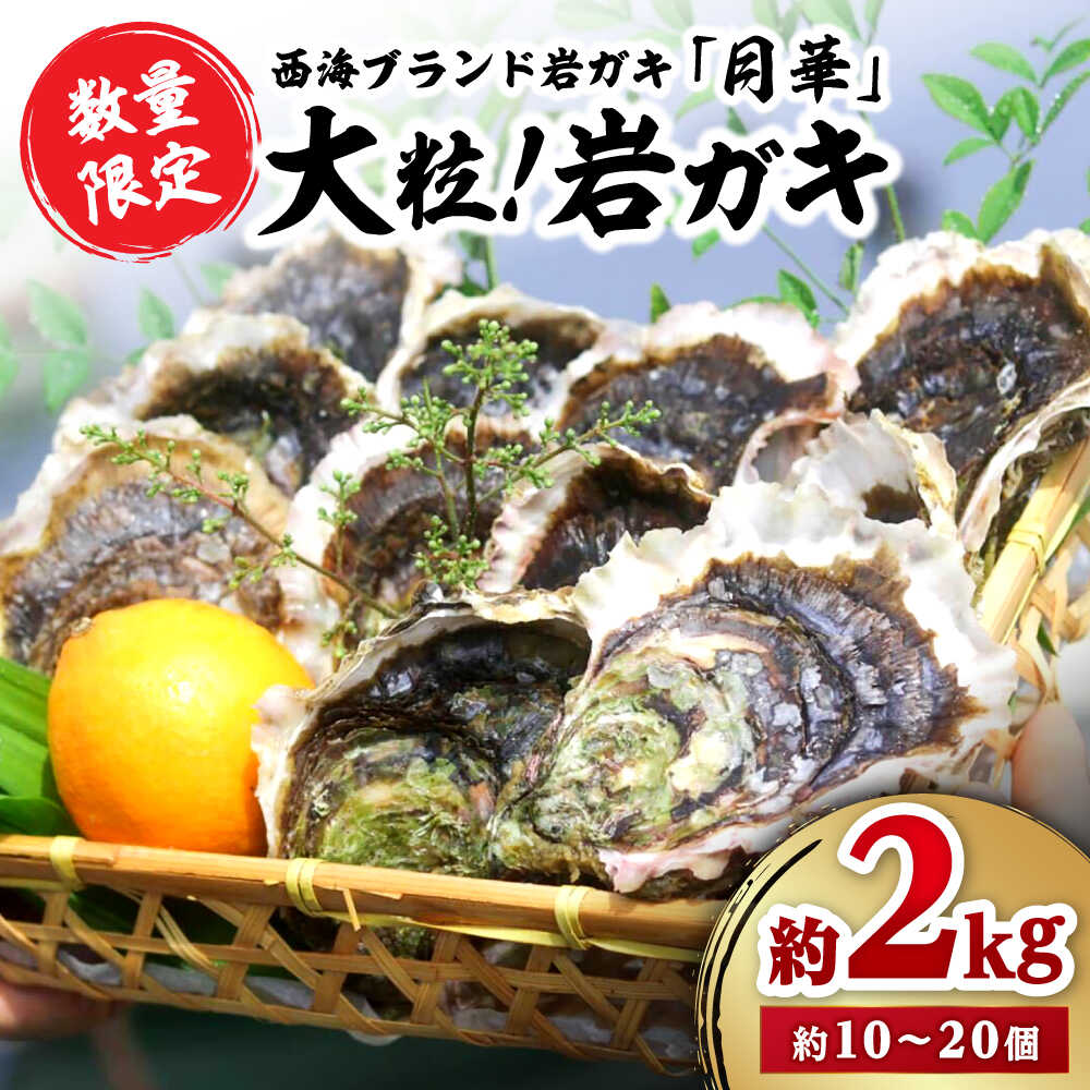 【ふるさと納税】【☆数量限定☆】【着日指定可】濃厚！ 岩ガキ 約 2kg （約10個～20個）便利なナイフ・軍手付き♪＜ハマフジ水産＞ [CES001] 牡蠣 カキ 岩牡蠣 生牡蠣 海鮮 冷蔵 贈答 かき 焼牡蠣 パスタ 今が旬