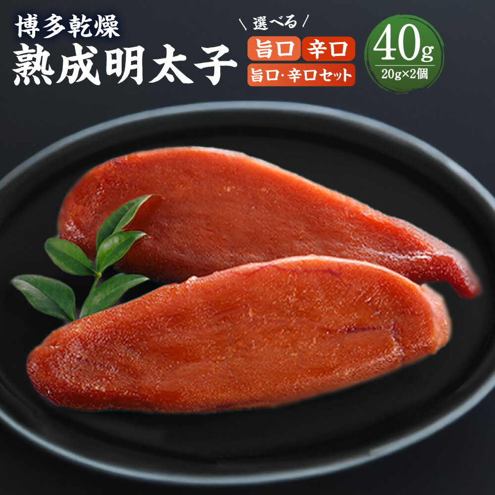 【ふるさと納税】〈選べる種類〉 博多 乾燥熟成明太子 旨口 ／ 辛口 ／ 旨口・辛口セット 明太子 めんたいこ タラコ 辛子明太子 海鮮 おつまみ 御飯のお供 酒の肴 福岡県 大任町 送料無料