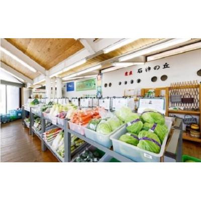 ふるさと納税 岩手町 岩手町産の旬野菜セット　新鮮 採れたて 詰合せ おまかせ |  | 01