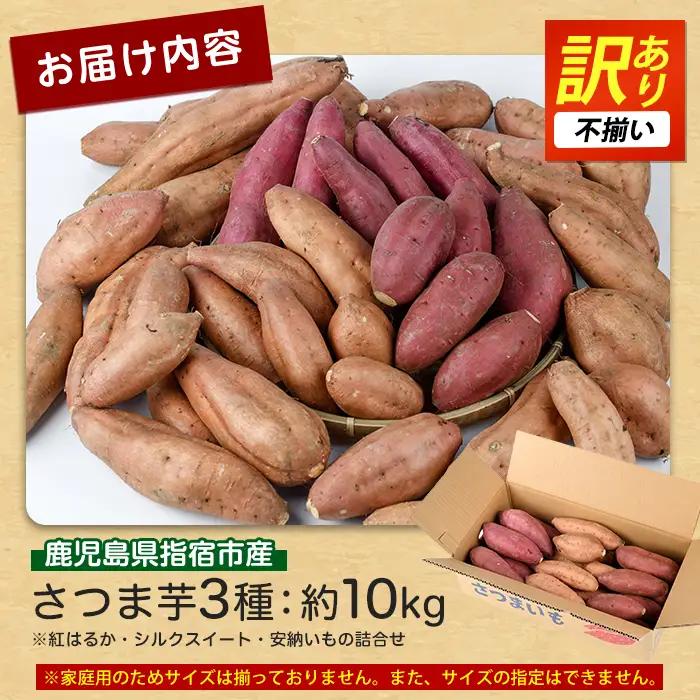 さつまいも 訳あり 3種 約10kg 紅はるか シルクスイート 安納芋 サツマイモ IB084-009