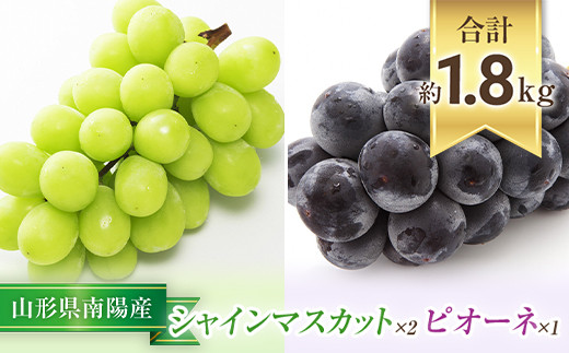 【令和9年産先行予約】 シャインマスカット 2房 ＋ ピオーネ 1房 《令和9年9月中旬～発送》 『漆山果樹園』 マスカット 葡萄 ぶどう ブドウ 果物 フルーツ デザート 山形県 南陽市 [812-R9]