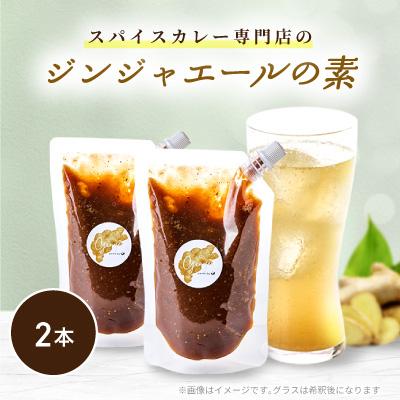 ふるさと納税 あきる野市 【スパイスカレー専門店/山のスパイス】　自家製ジンジャーエールの素　2本セット