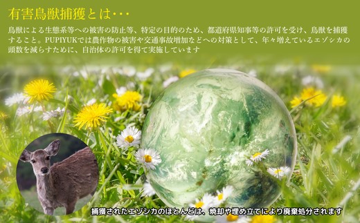 PIPIYUK　犬猫用エゾシカジャーキー　２個