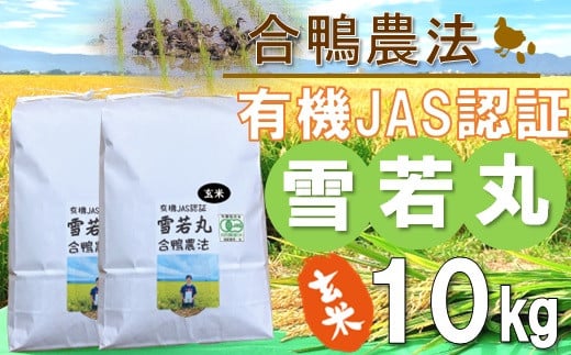 【令和6年産・玄米】ecofarmすがわらの合鴨農法有機JAS認証雪若丸10kg　※10月下旬ごろから順次発送開始