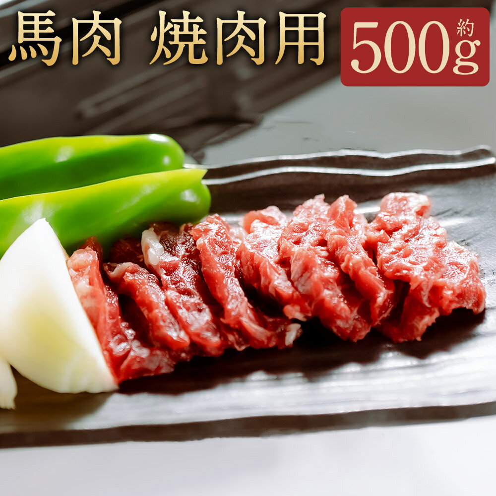 【ふるさと納税】馬肉 焼肉用 約500g カット済 焼き肉 肉 馬肉 スライス 部位おまかせ 冷凍 桜屋 送料無料