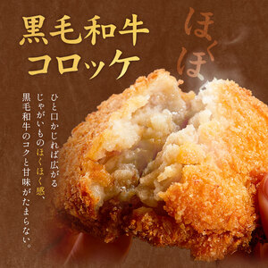 黒毛和牛コロッケ 20個 5個×4パック LRプラスK《90日以内に出荷予定(土日祝除く)》鹿児島県 さつま町 鹿児島県産 黒毛和牛 惣菜 おかず 小分け 解凍不要 コロッケ