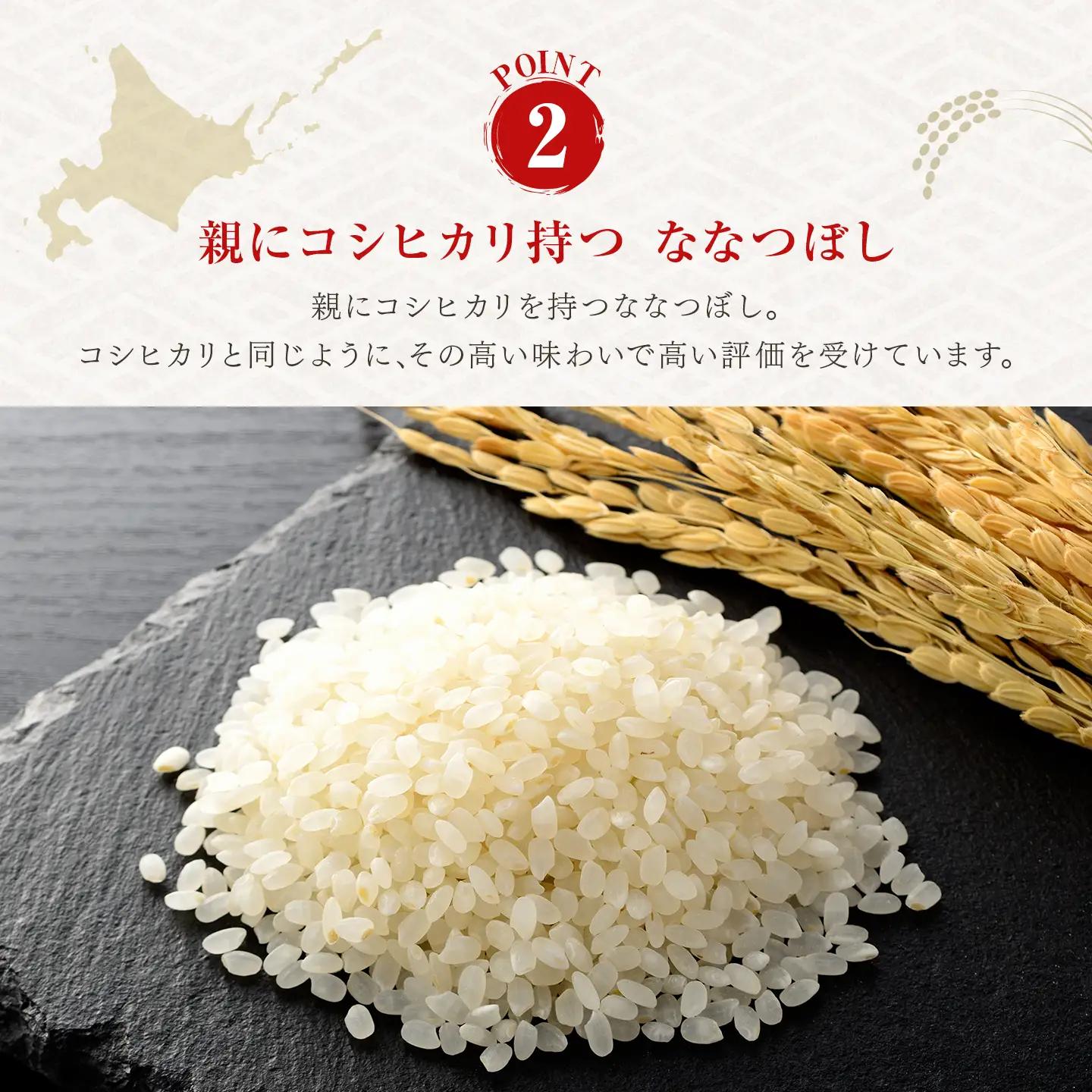【特Aランクななつぼし】【令和7年産】米 10㎏ 白米