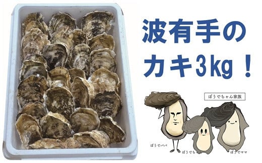 波有手（ぼうで）のカキ （3kg） 【2024年12月下旬から2025年2月下旬発送予定】 海鮮 魚貝類 かき カキ 牡蠣