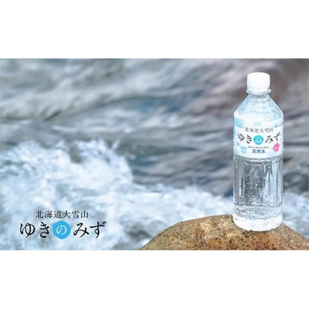 【ふるなびWEEK対象】北海道大雪山ゆきのみず（550ml×24本入り）　1箱|  水 水