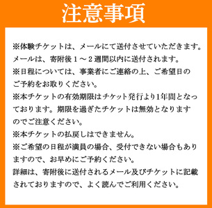 藍染 体験 てぬぐい 伝統 技術 工芸 徳島県 三好市 観光 Aoみっつの夢【観光】