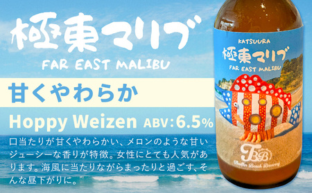 クラフトビール3種飲み比べセット【瓶330ml×12本】千葉県勝浦市にある醸造所より直送【配送不可地域：離島】【1456192】