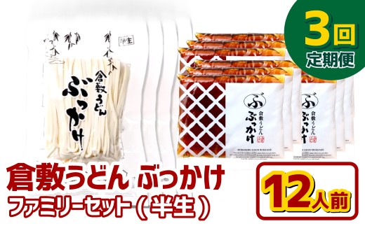 【3ヶ月定期便】『倉敷うどん ぶっかけ』ファミリーセット(半生) 12人前×3回 うどん 麺類 麺 半生 半生麺 ぶっかけうどん タレ つゆ 岡山県 倉敷市