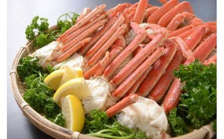 美味ズワイ蟹の脚2kgセット(オホーツク海産・網走加工)  ABAO2153 | ズワイ蟹