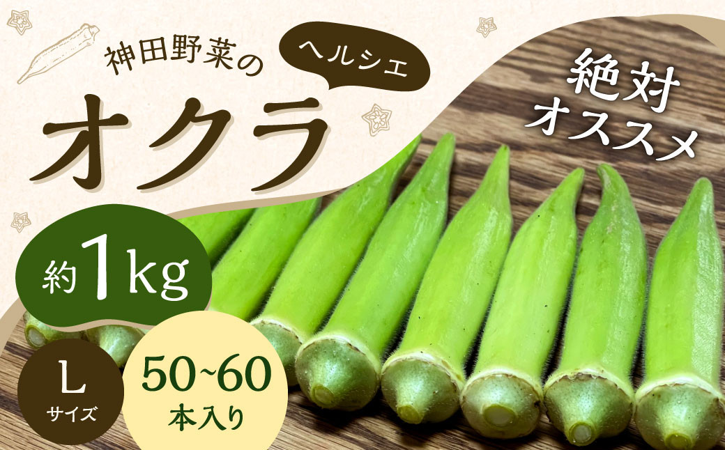 
神田野菜の絶対オススメ オクラ （ヘルシエ） 1kg （Lサイズ 50～60本）【2024年7月上旬から12月下旬発送予定】 野菜 やさい 国産
