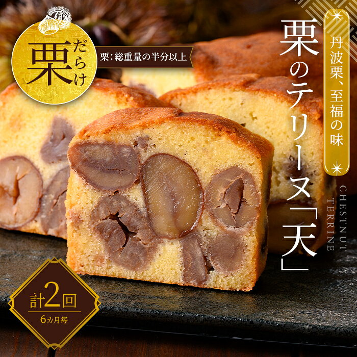 【ふるさと納税】＜定期便・計2回＞栗のテリーヌ「天」 (1本×2回/6ヶ月に1回) 人気 絶品 極上 スイーツ ケーキ テリーヌ 栗 くり お菓子 銘菓 おやつ 誕生日 お祝い ギフト 贈答品 定期便 定期 【fc-ZX012】【足立音衛門】
