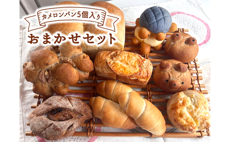 カメロンパン5個入り おまかせパン セット【食パンなし・あこ酵母食パン入・薬膳食パン入】  カメロンパン5個入り　おまかせパン セット【あこ酵母食パン入り】