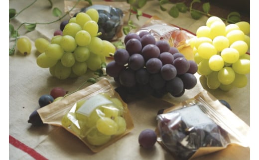 【2026年】【先行受付】HARETOMI産 ピオーネ・シャインマスカットのセット