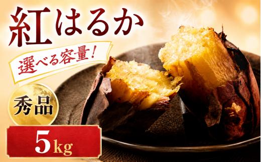紅はるか 5kg 秀品 甘三郎 ぽくぽく農園 さつまいも サツマイモ 熟成 生芋 さつま芋 やきいも 芋 イモ 野菜 長期熟成 デザート 旬 農家直送  徳島県