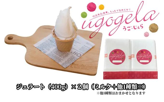 本格ジェラート 羽後町産生乳使用！「うご・じぇら」400g×2個セット（ミルク＋他1種類※おまかせ）〈株式会社おも・しぇ〉 スイーツ 冷たいスイーツ フレッシュミルク 濃厚 後味さっぱり 新鮮 とれたて食材 生産者直送 野菜 完熟果物 