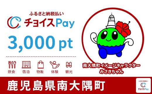 
            南大隅町チョイスPay 3,000pt【会員限定のお礼の品】
          