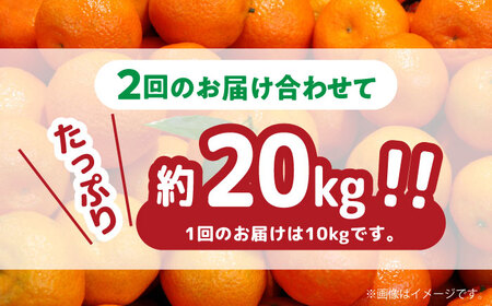 【2026年12月-発送】【2回定期便】高糖度 温州みかん（約10kg×2回） / みかん 定期便 ミカン 蜜柑 長崎県産みかん 糖度 果物 くだもの 果物定期便 フルーツ ふるーつ フルーツ定期便 