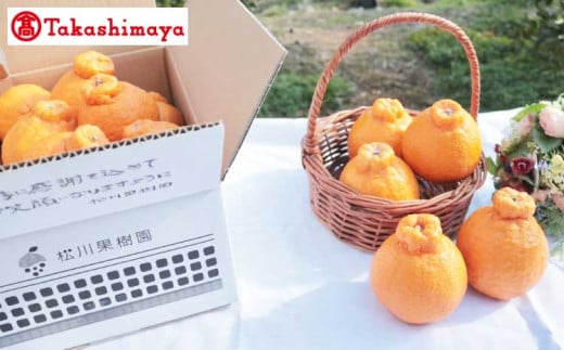 【高島屋選定品】松川果樹園 不知火 計5kg サイズ不揃い【2026年3月下旬～5月中旬発送予定】しらぬい 柑橘