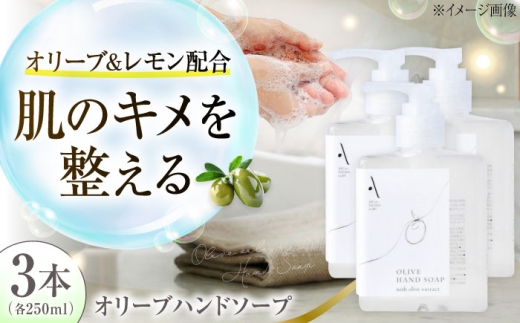 オリーブハンドソープ【AKI no SHIMA no MI】250ml×3本 美容 ボディケア ハンドケア 江田島市/リベラグループ [XAJ114]