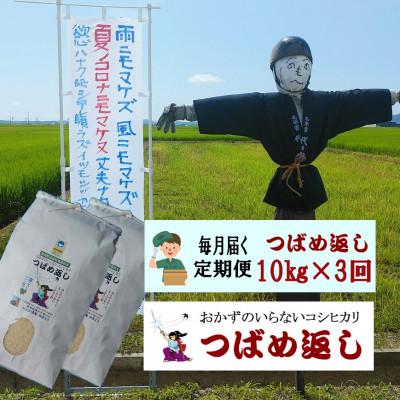 ふるさと納税 燕市 【毎月定期便】おかずのいらないコシヒカリ「つばめ返し」白米10kg(5kg×2)全3回