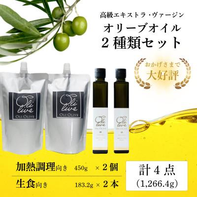 ふるさと納税 袋井市 高級イタリア産エキストラ・ヴァージンオリーブオイル2種4点【6月中旬より発送】