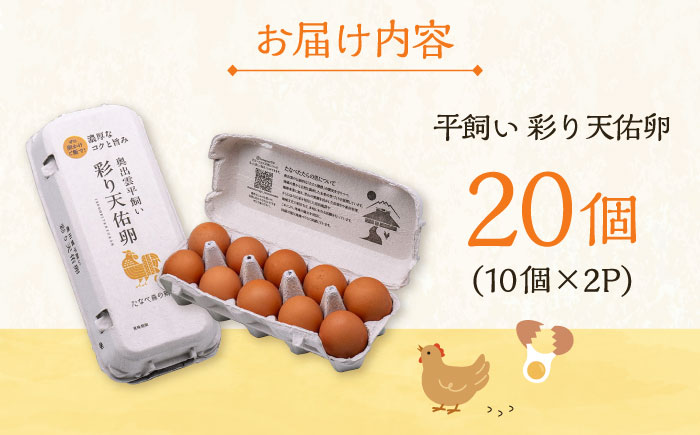 黄身の濃厚なコクと白身の甘み！たたらの里平飼い 彩り天佑卵 20個入り（10個×2P）たまご 卵 放牧卵 島根県雲南市/株式会社たなべたたらの里（たなべ森の鶏舎） [AIDL011]
