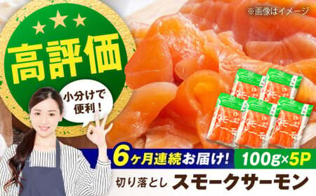 【定期便】スモークサーモン 100ｇ×5パック×6回[AQAJ021]サーモンサーモンサーモンサーモンサーモン鮭鮭鮭鮭鮭