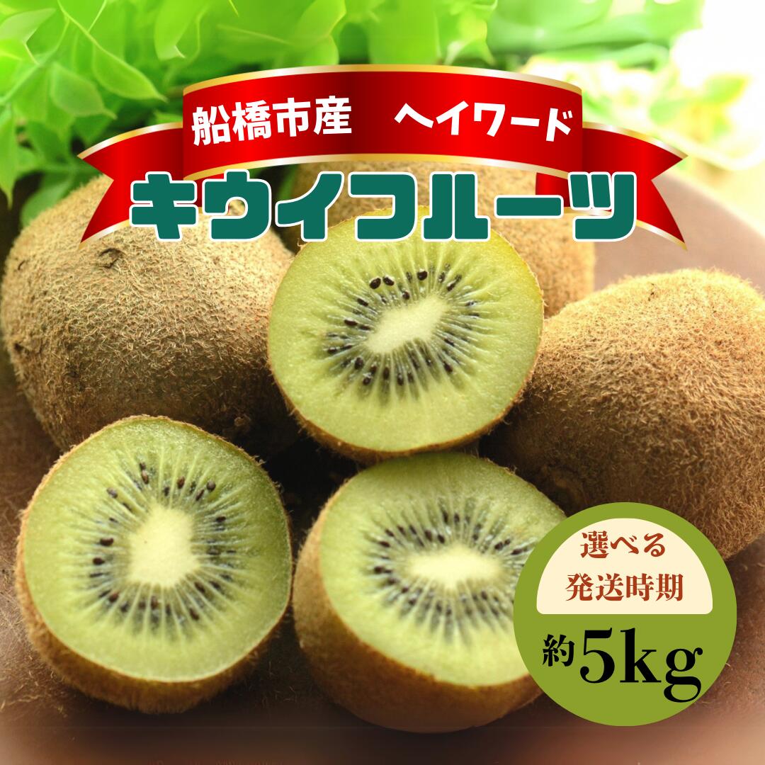 【ふるさと納税】キウイフルーツ ヘイワード キウイ 5kg 国産 船橋市産 やまちょう園 選べる発送時期
