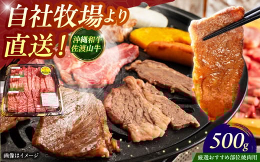 【厳選！おすすめ部位】沖縄和牛 佐渡山牛 焼肉用 500g 牛肉 焼肉 焼き肉 和牛 赤身 沖縄市 / 肉のサブロー [BCBC003]