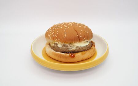 ハンバーガー てりやきマヨ 12個 | 長野県 飯田市