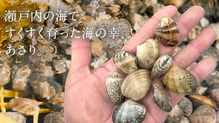 島の アサリ と 島の ワイン の セット