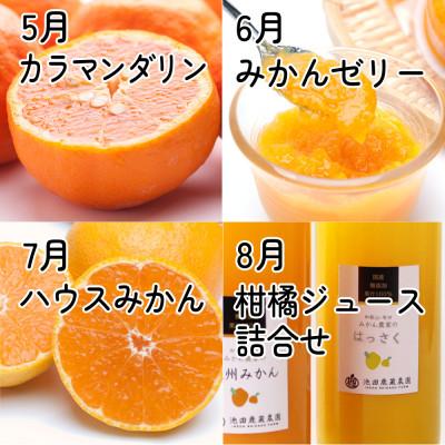 ふるさと納税 広川町 【発送月固定定期便】厳選 柑橘定期便M(毎月)全12回 |  | 03