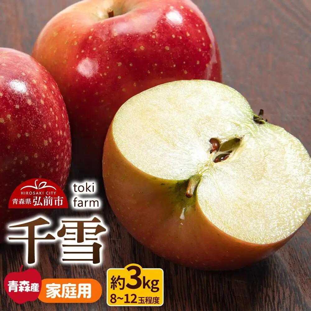 【26年11月発送】りんご 千雪 約3kg（8～12玉程度）家庭用 toki farm 林檎 アップル 果実 果物 美味