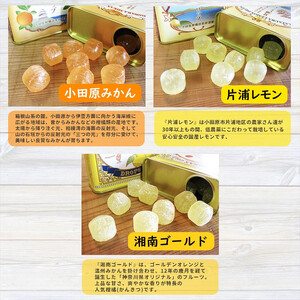 【小田原のフルーツ果汁を使ったドロップ3種類×2個セット】口に入れるとフルーツの香りが広がるドロップ。【 ドロップ 神奈川県 小田原市 】
