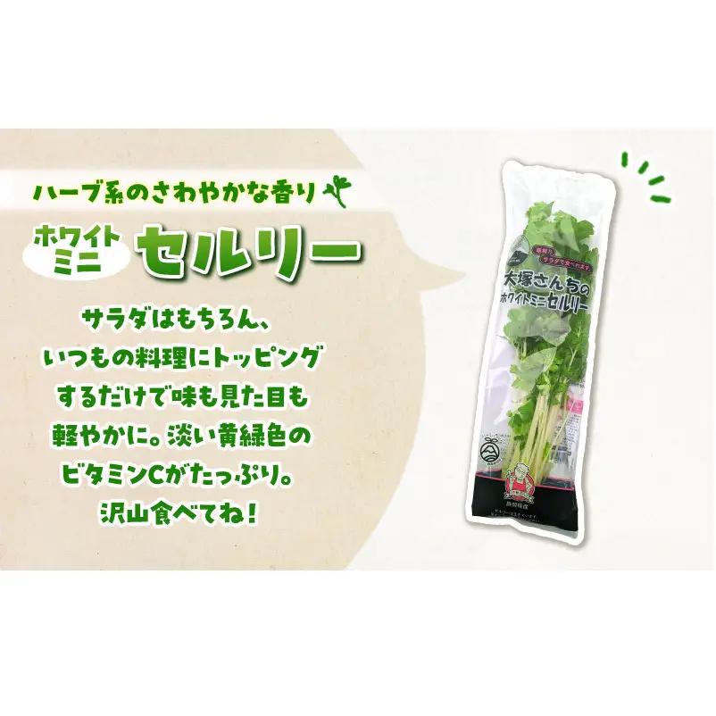 ホワイトミニセルリー 15袋入り 野菜 詰め合わせ セルリー セロリ ミニセロリ 新鮮 産地直送 大容量 業務用 まとめ買い 野菜セット ギフト 詰合せ 常備野菜