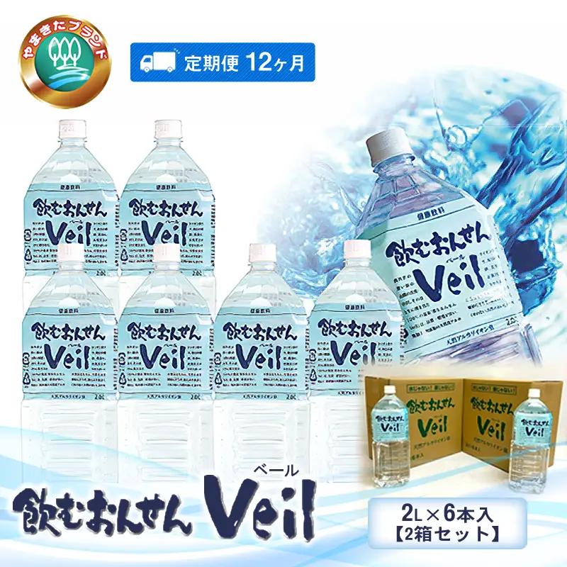 【定期便12ヶ月】飲むおんせんベール2L×6本入【2箱セット】【 温泉水 温泉純度100％ 保存水 防災 神奈川県 山北町 】
