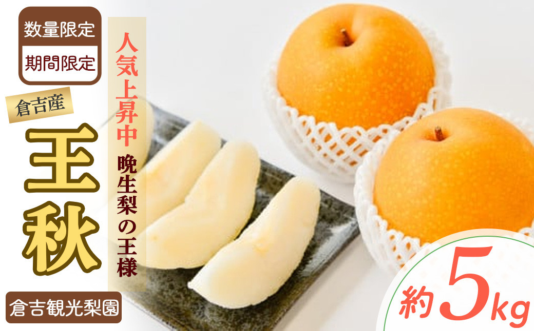 
                  数量限定 王秋 5kg 【倉吉産】（倉吉観光梨園） 梨 ナシ なし ブランド梨 王秋 おうしゅう 鳥取 果物 フルーツ 和梨 先行予約 数量限定 詰め合わせ 人気 甘い
                