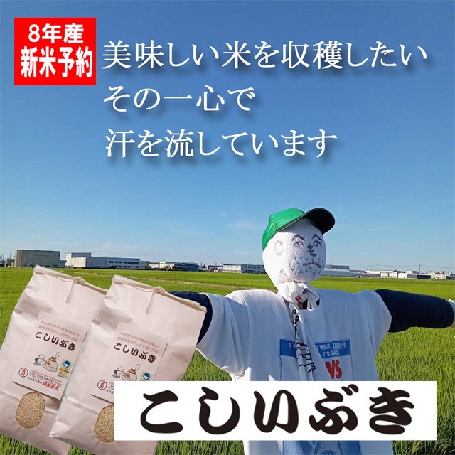 
                  【令和8年産米予約受付中】こしいぶき 白米10kg FC025078
                