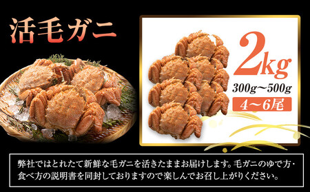  【先行予約/2026年4月発送開始】活毛ガニ　２kg　300g～500g　４～６尾